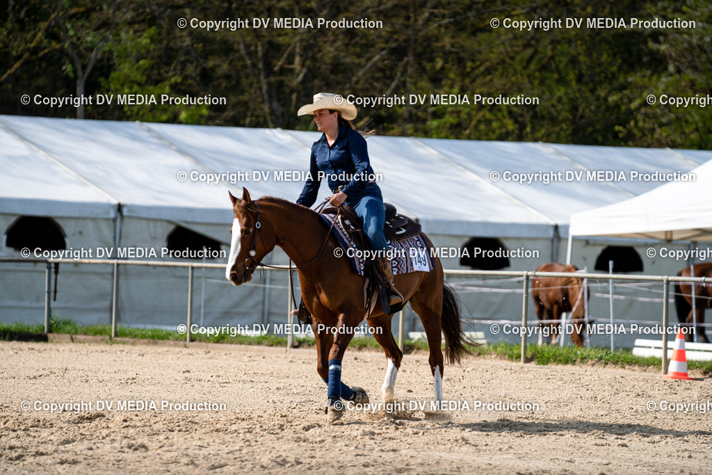 Heiligenwald Tag 2-1054 | dv-media-shop - Realisiert mit Pictrs.com