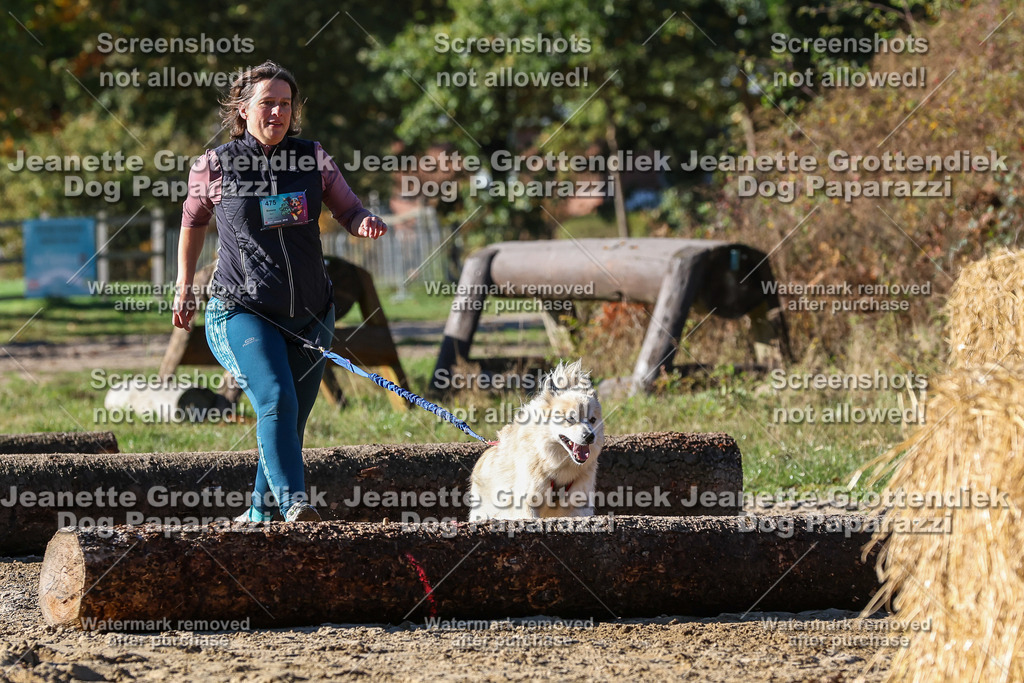Dog Paparazzi - Strongdog 10-25-2465 | Dog Paparazzi Jeanette Grottendiek Fotografie & Videografie - Realisiert mit Pictrs.com