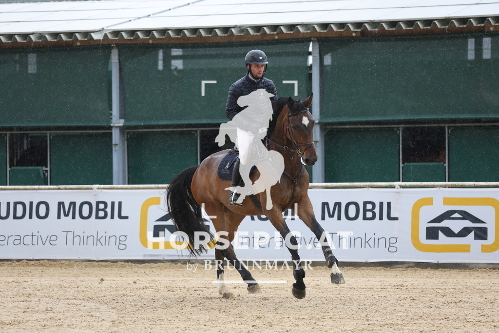 0P6A2134 | Willkommen bei Brunnmayr - Design & Fotografie – Ihrem Spezialisten für Reitturniere und Pferdeveranstaltungen in Oberösterreich, Salzburg und Bayern! Seit über 17 Jahren sind wir leidenschaftlich dabei.