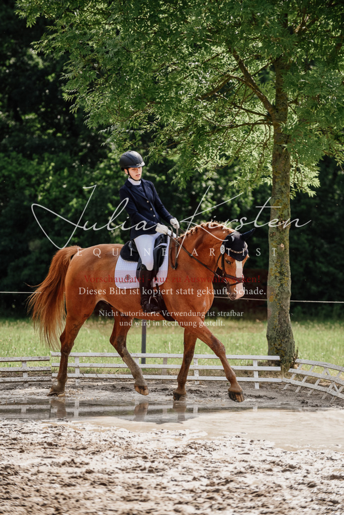 DSC_9977 | Pferde- und Turnierfotografie in Westsachsen. Pferdeportraits, Auftragszeichnungen und intuitive Kunst.
