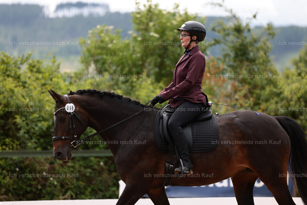 KlasseE_Stoibphotography_CAM21712.JPG | working equitationturnier fotograf videograf stoibphotography marixx film working equitation deutschland reitsport turnierfotografie eventfotografie equestrian events