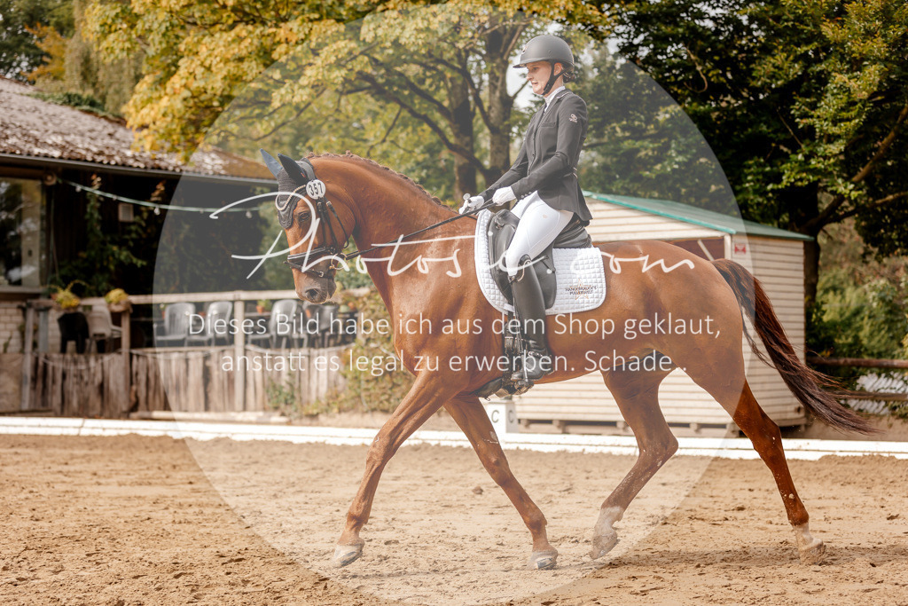 3I6A7402 | Stimmungsvolle Portraits und Reitsportfotografie im Ruhrgebiet und im Münsterland.

Pferdefotografie, Hundefotografie, Tierfotografie, Reportagen, Portraits von Tier und Mensch, Turnierfotografie in Bochum, Recklinghausen, Marl, Haltern am See, Dülmen.. - Realisiert mit Pictrs.com