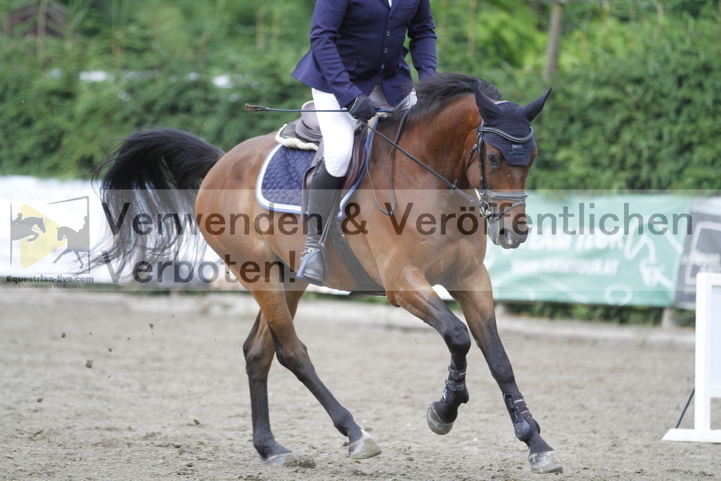 _MG_6781 | equestrian-live-com