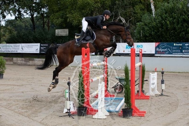 2B4A1146 | pixelfaenger - Realisiert mit Pictrs.com