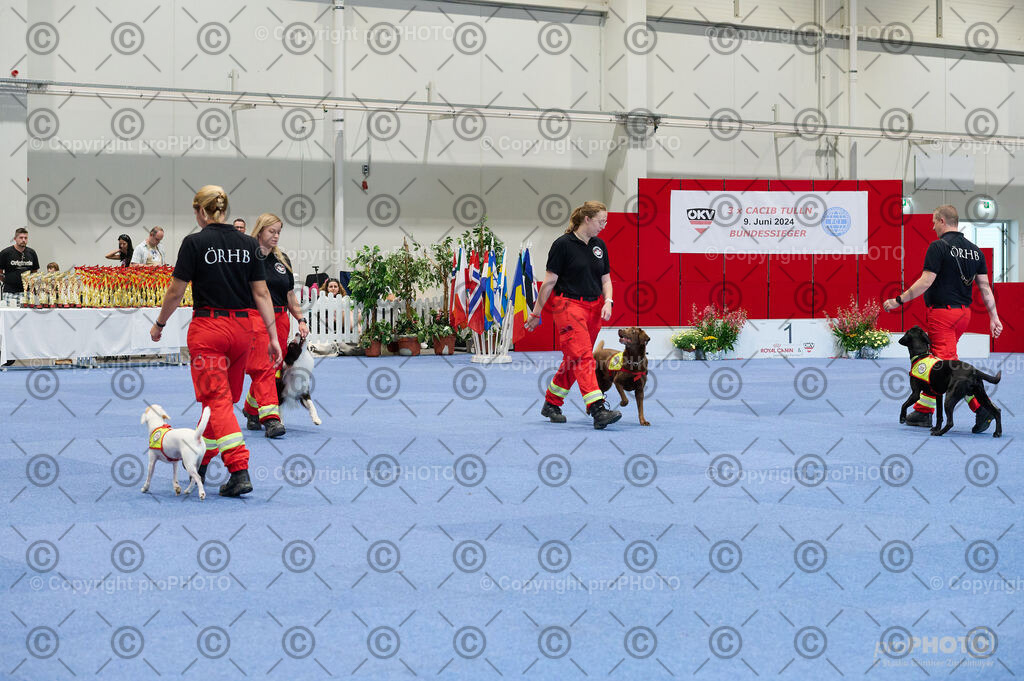 202406_ÖKV-IHA-Tulln24_DSC_4771 | proPHOTO - Realisiert mit Pictrs.com