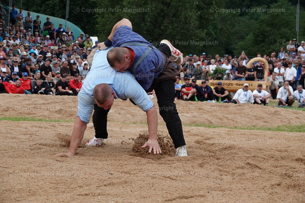 DSC01340 | Schwingen - Realisiert mit Pictrs.com