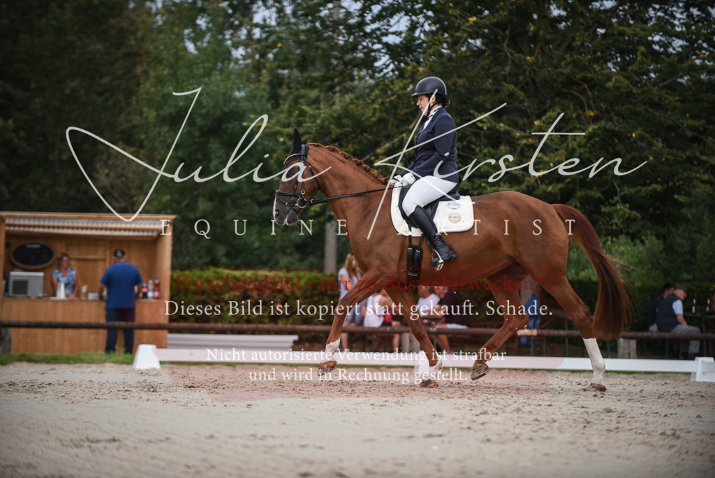 DSC_8365 | Pferde- und Turnierfotografie in Westsachsen. Pferdeportraits, Auftragszeichnungen und intuitive Kunst.