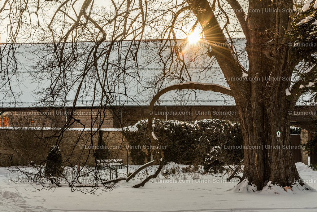 10049-4870 - Klostergärten Drübeck | Stockfoto und Bilderpool mit Bildmaterial aus Deutschland, dem Harz, Halberstadt, Quedlinburg, Wernigerode und weltweit. Qualitativ hochwertige und professionelle Fotos anschauen und kaufen. - Realisiert mit Pictrs.com