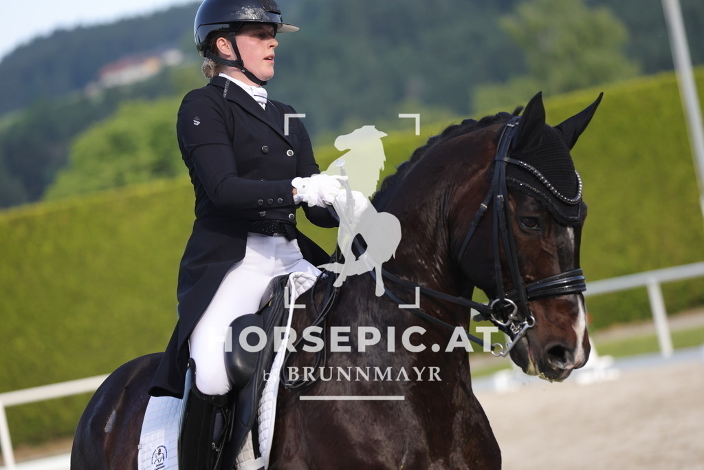 0P6A3769 | Willkommen bei Brunnmayr - Design & Fotografie – Ihrem Spezialisten für Reitturniere und Pferdeveranstaltungen in Oberösterreich, Salzburg und Bayern! Seit über 17 Jahren sind wir leidenschaftlich dabei.