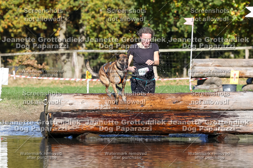 Dog Paparazzi - Strongdog 10-25-8962 | Dog Paparazzi Jeanette Grottendiek Fotografie & Videografie - Realisiert mit Pictrs.com