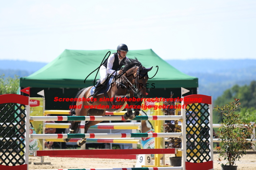 IMG_2791 | lmwpictures - Realisiert mit Pictrs.com