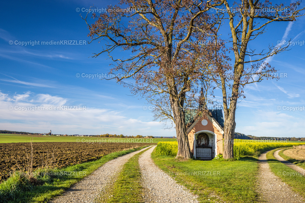 _J3A9026 | medienkrizzler - Realisiert mit Pictrs.com