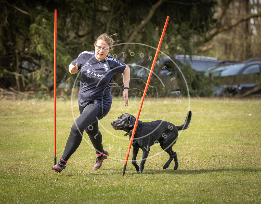 Pfotenfotografie_DV3A9845 | Hundefotografie, Tierfotograf, Pfotenfotografie, Fotoshooting Hund, Hunde Portrait, Hundesport, Hundeportraits, Heideshooting, Hunde, Sportfotograf, Hundefotograf, Turnierhundsport, THS,  - Realisiert mit Pictrs.com