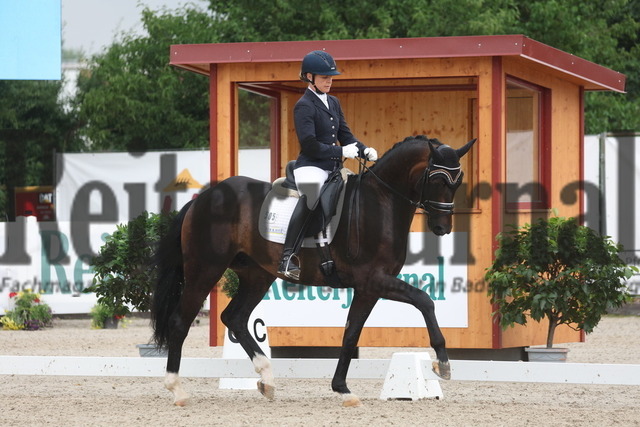 Weilheim_2023_Prfg.Nr.18_Reitpferdeprfg_3jähr_Stuten u.Wallache_Nicola Haug_Be Great (16) | Alle Fotos der Reiterjournal Fotografin Doris Matthaes im Reiterjournal Online-Fotoshop. - Realisiert mit Pictrs.com