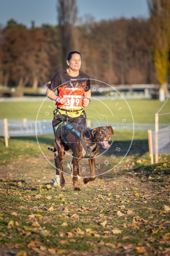 CaniXpix_DV3A4581 | Hundefotografie, Tierfotograf, Pfotenfotografie, Fotoshooting Hund, Hunde Portrait, Hundesport, Hundeportraits, Heideshooting, Hunde, Sportfotograf, Hundefotograf, Turnierhundsport, THS,  - Realisiert mit Pictrs.com