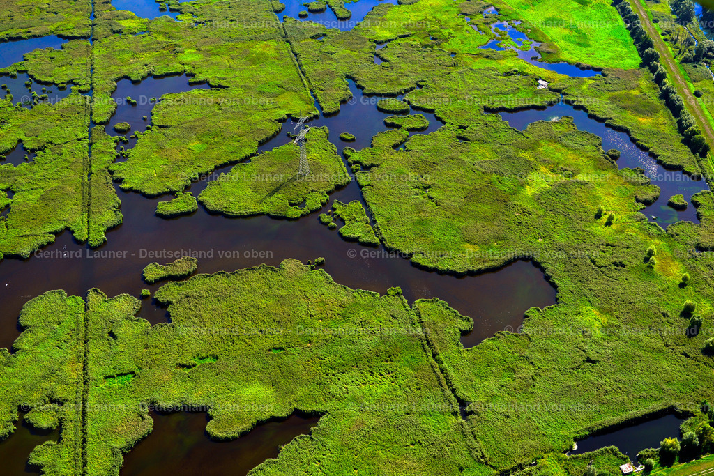 3637361 | Spreewald Unesco-Biosphärenreservat, LüBBEN (SPREEWALD) 25.08.2016 Feuchtgebiet bei Lübben (Spreewald) im Bundesland Brandenburg. // Wet area near Luebben (Spreewald) in the state Brandenburg. Foto: Gerhard Launer