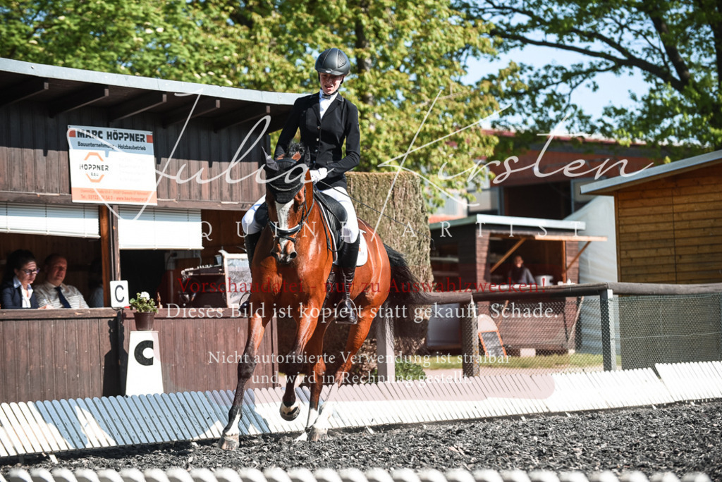 DSC_8666 | Pferde- und Turnierfotografie in Westsachsen. Pferdeportraits, Auftragszeichnungen und intuitive Kunst.