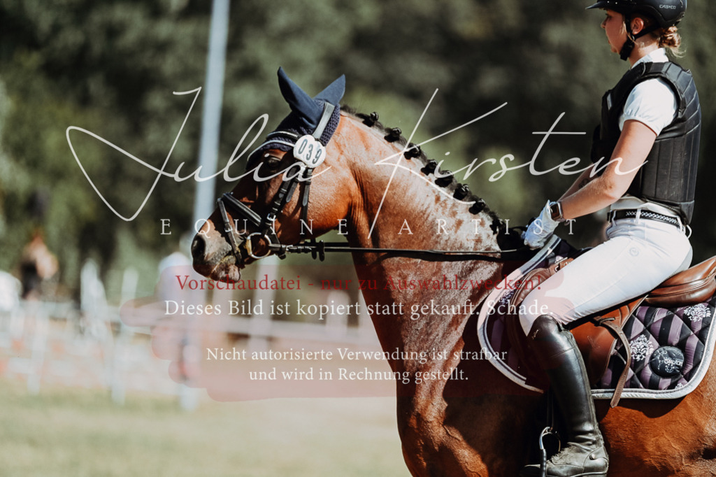 DSC_9676 | Pferde- und Turnierfotografie in Westsachsen. Pferdeportraits, Auftragszeichnungen und intuitive Kunst.