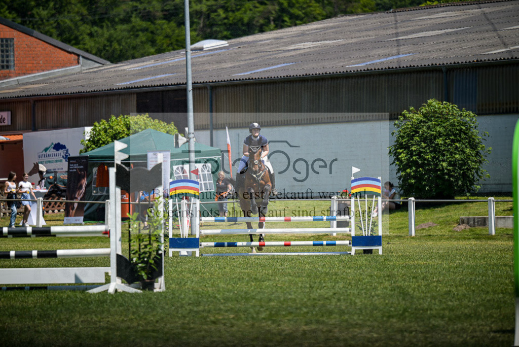 Reitturnier Voxtrup | Entdecke hochwertige Reitturnierfotos von Foto Oger. Professionell, emotional und authentisch – jetzt Lieblingsmomente im Shop bestellen. - Realisiert mit Pictrs.com