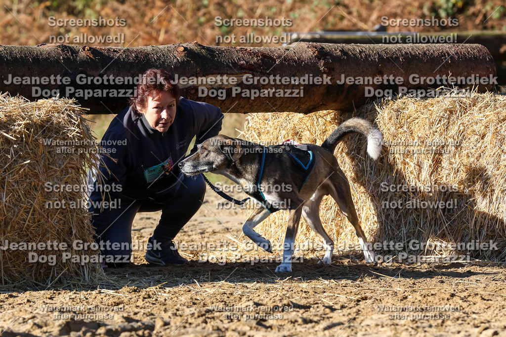 Dog Paparazzi - Strongdog 10-25-1851 | Dog Paparazzi Jeanette Grottendiek Fotografie & Videografie - Realisiert mit Pictrs.com
