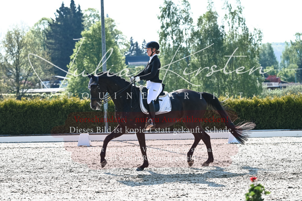 20230514_JK-Röhrsdorf-18-059 | Pferde- und Turnierfotografie in Westsachsen. Pferdeportraits, Auftragszeichnungen und intuitive Kunst.