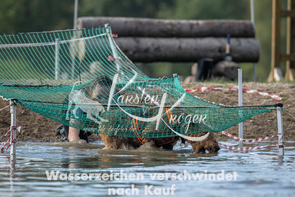 1256_ZZ94294 | kk-dogfotos