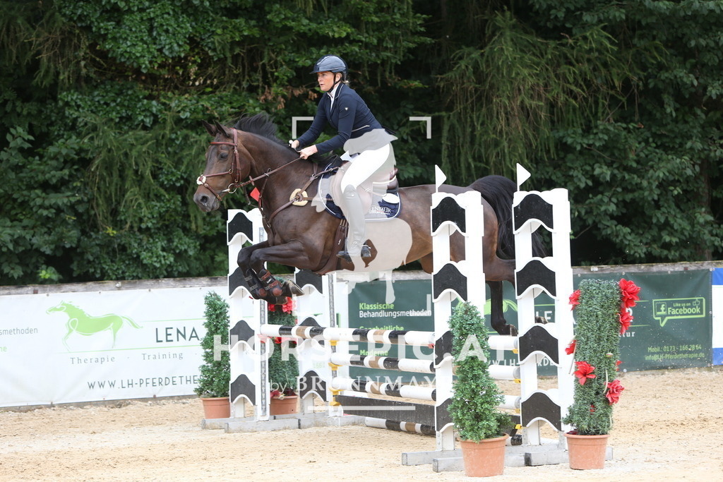 DL2Q1714 | Willkommen bei Brunnmayr - Design & Fotografie – Ihrem Spezialisten für Reitturniere und Pferdeveranstaltungen in Oberösterreich, Salzburg und Bayern! Seit über 17 Jahren sind wir leidenschaftlich dabei.