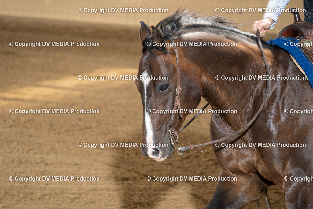 DSC00162 | dv-media-shop - Realisiert mit Pictrs.com