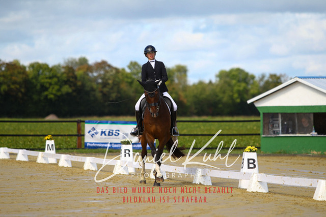 DKP43977 | Turniersportfotografie; Pferdefotografie; Dressurfotografie