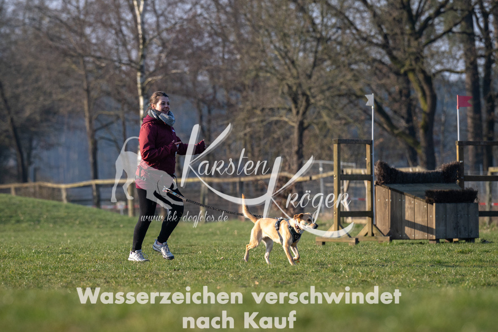 _ZZ92243 | kk-dogfotos