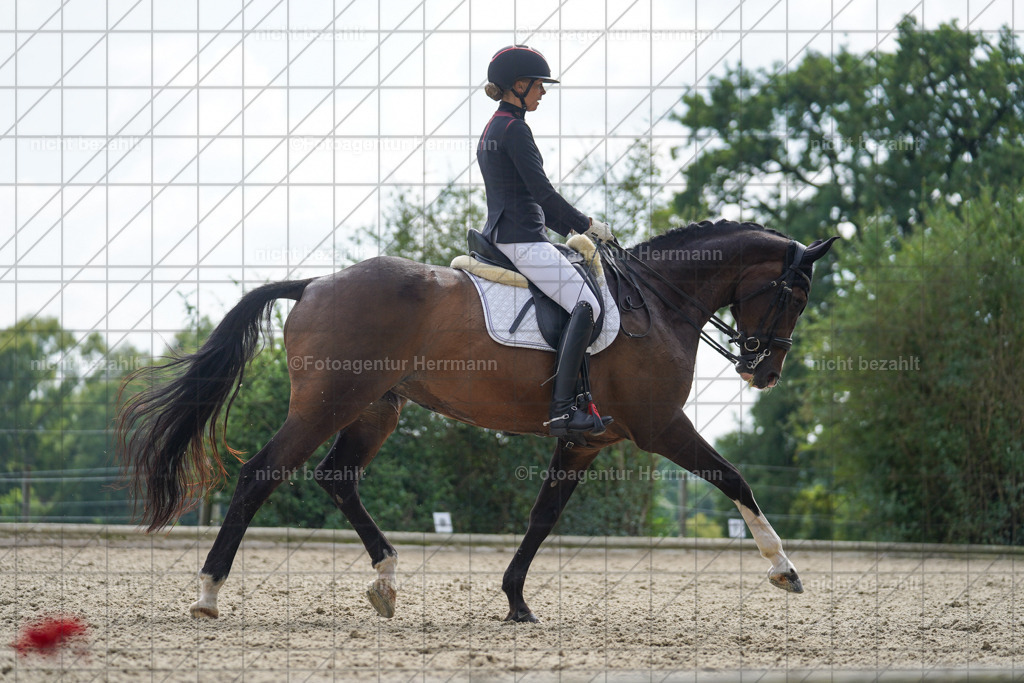 20230826-FAH05992 | Forstinning, 2023, Dressurturnier, Turniersportbilder, Turnierfotografen Bayern, Fotoagentur Herrmann, Reitsportfotografie, Turnierbilder