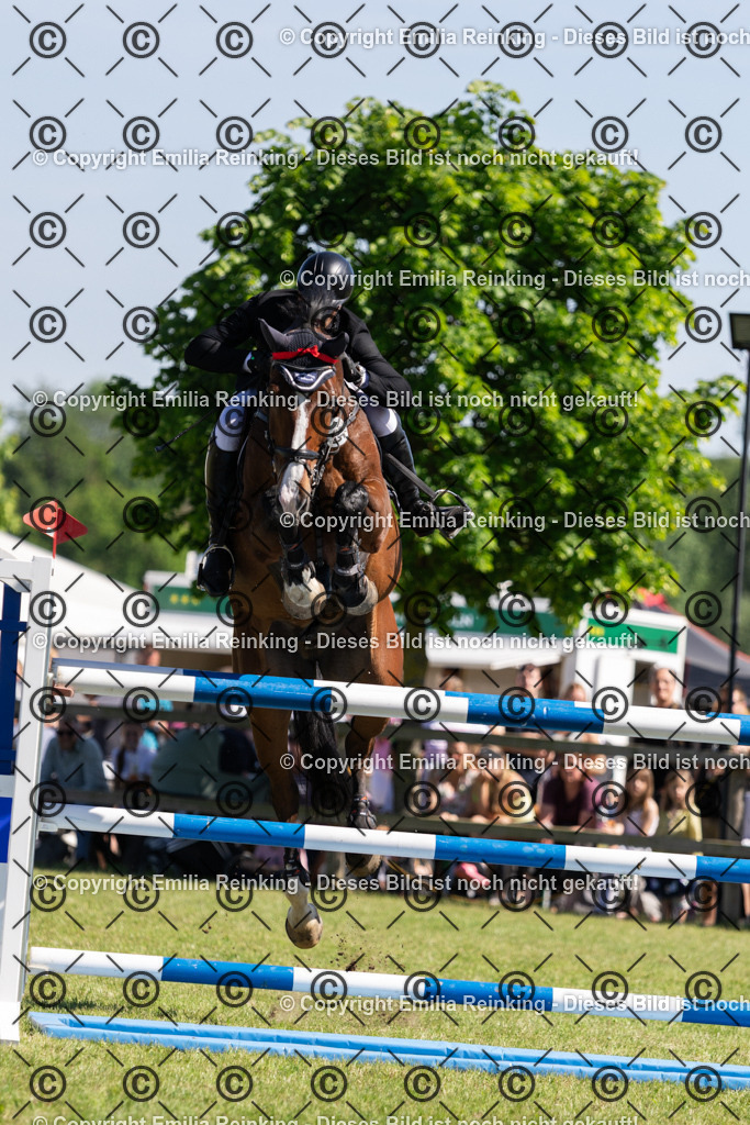 CL5A1337 | Emilia Reinking Fotografie - Realisiert mit Pictrs.com