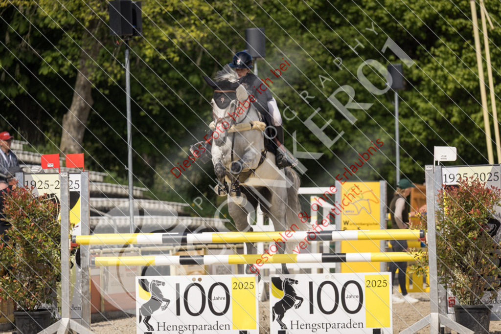 IMG_4488 | Sport-, Event- und Tierfotos in Profiqualität. Einfach auswählen, bestellen und herunterladen. Dein Moment – perfekt festgehalten.
