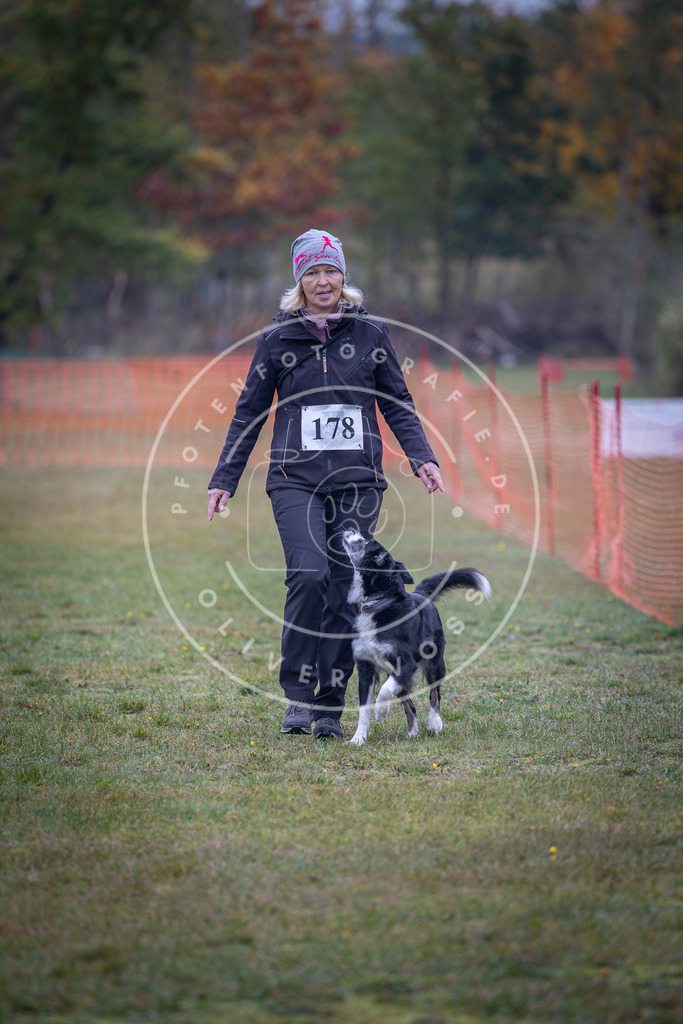 Pfotenfotografie_DV3A9467 | Hundefotografie, Tierfotograf, Pfotenfotografie, Fotoshooting Hund, Hunde Portrait, Hundesport, Hundeportraits, Heideshooting, Hunde, Sportfotograf, Hundefotograf, Turnierhundsport, THS,  - Realisiert mit Pictrs.com