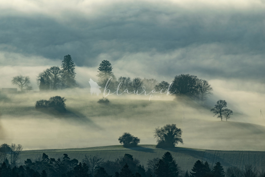 701A5580-Verbessert-RR | Sportbilder, Sportfotograf, Hochzeits- und Eventfotografin, Flugshows, Portraits und Tiershooting, Aviation, Downhill, Nationalleague, Swissleague, International