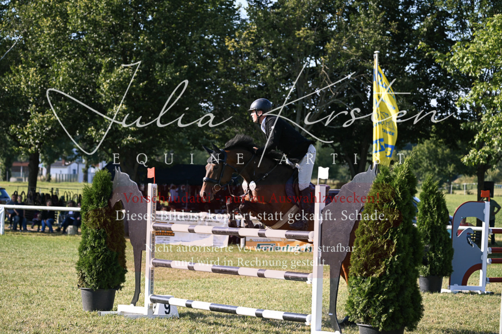 DSC_1589 | Pferde- und Turnierfotografie in Westsachsen. Pferdeportraits, Auftragszeichnungen und intuitive Kunst.