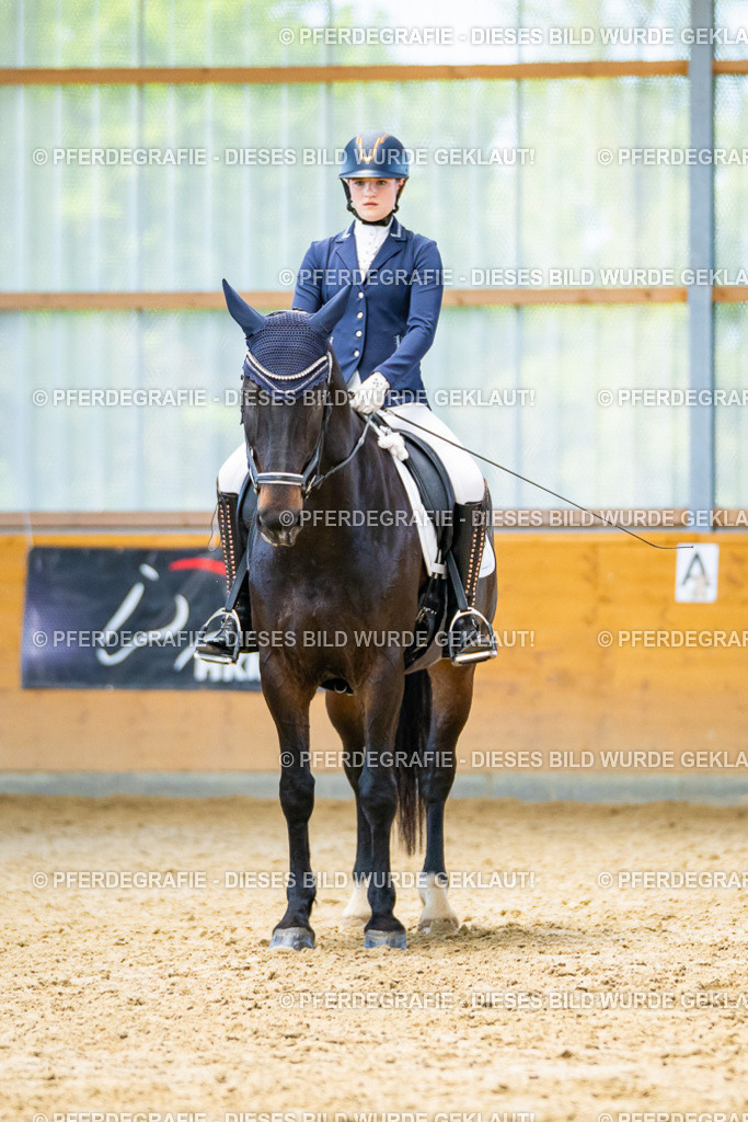 DSC08483 | Pferdegrafie