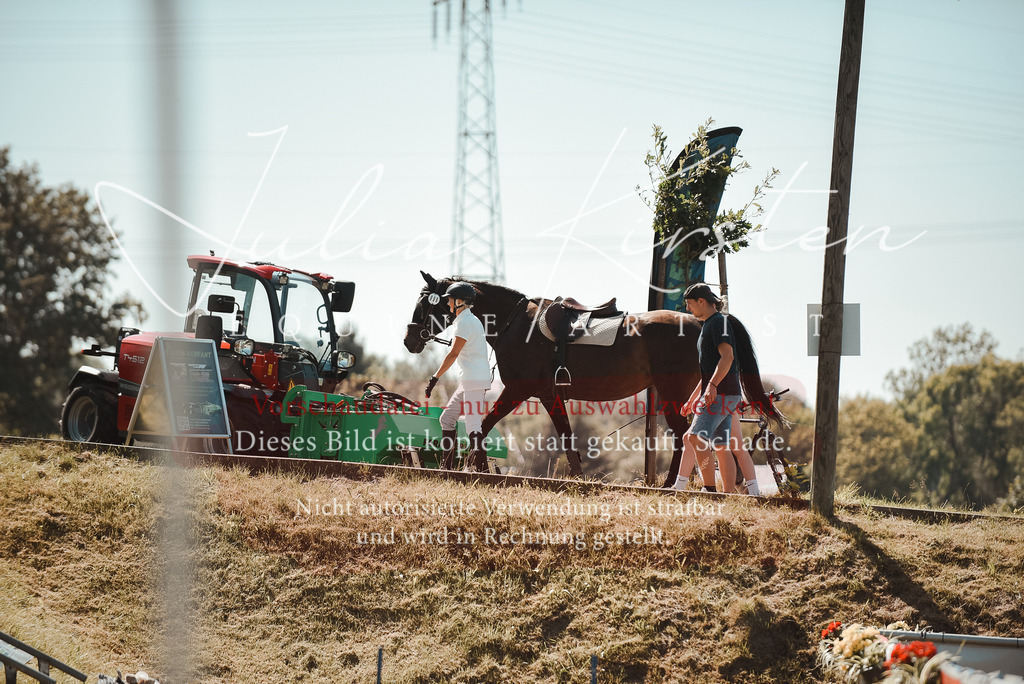 DSC_3182 | Pferde- und Turnierfotografie in Westsachsen. Pferdeportraits, Auftragszeichnungen und intuitive Kunst.