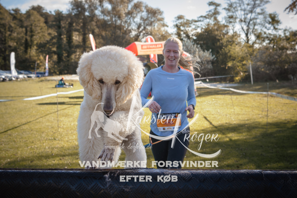 1203_ZZ94366 | kk-dogfotos