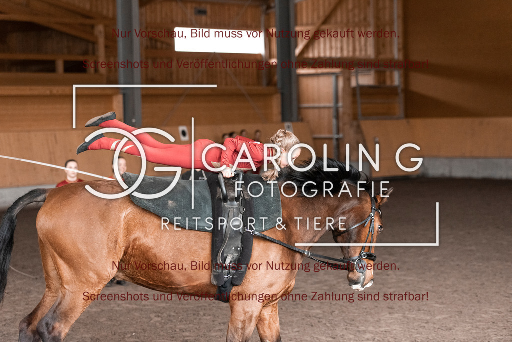 DSC_2059 | Turnierfotografin Carolin Gieschke,Reitsport Turnierfotografie Carolin G Fotografie | Turnierfotos aus Kirchheim/Teck, Esslingen, Stuttgart und dem Bodenseekreis