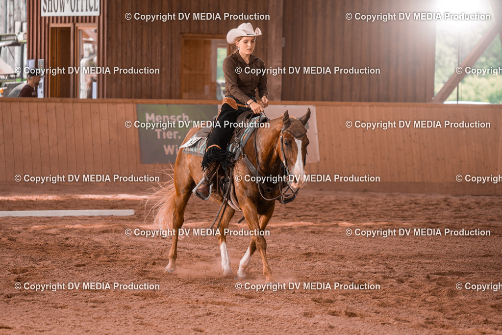 NE300331 | dv-media-shop - Realisiert mit Pictrs.com