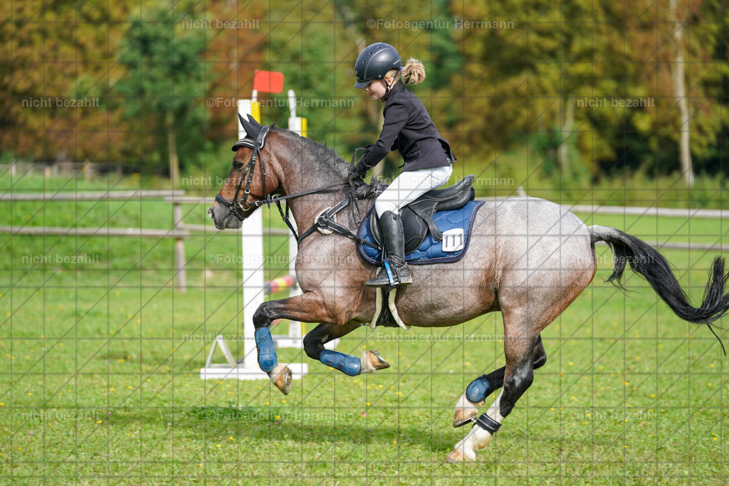 20230917-FAH09198 | Landsberg am Lech, 2023, Kaufbeuren, Kempten, Allgäu, Turnierfotografen Bayern, Fotoagentur Herrmann, Turnierbilder, Reitsport Fotos, Pferdefotograf, Augsburg, Bad Tölz, Dachau, Karlsfeld, Memmingen, Buchloe, Schwabmünchen