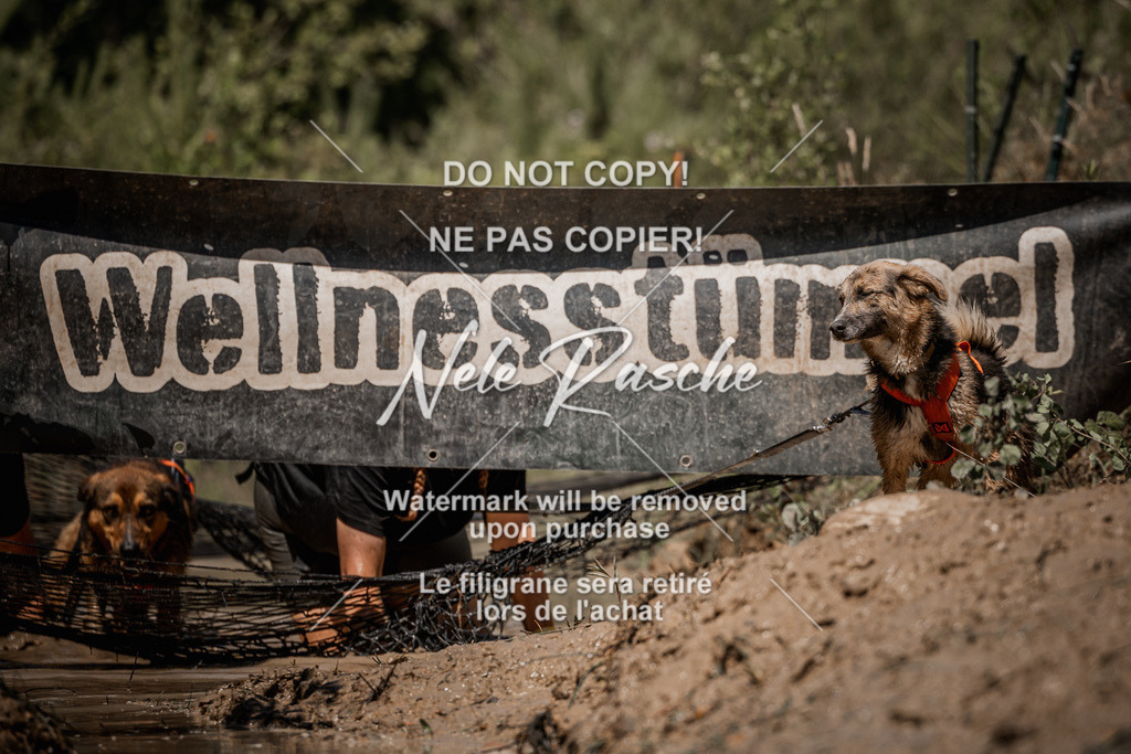 nelerasche_Hoope2026_Sa1330-1400_321 | nelerasche