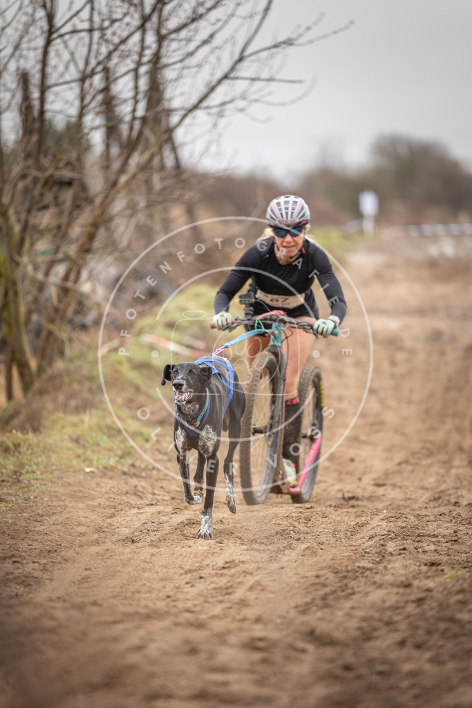 DV3A9565 | Hundefotografie, Tierfotograf, Pfotenfotografie, Fotoshooting Hund, Hunde Portrait, Hundesport, Hundeportraits, Heideshooting, Hunde, Sportfotograf, Hundefotograf, Turnierhundsport, THS,  - Realisiert mit Pictrs.com