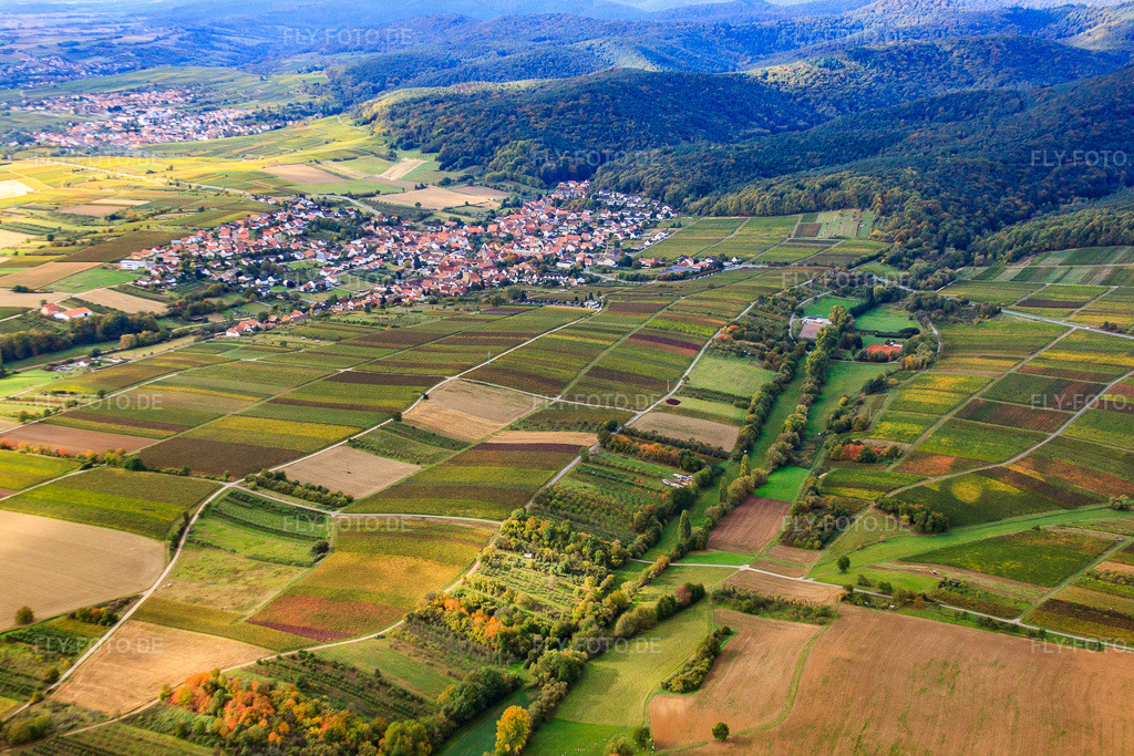 Luftbild: Dierbachtal in Oberotterbach im Bundesland Rheinland-Pfalz in Deutschland. Foto: IMG_22430.jpg vom 15.10.2009 durch Werner Riehm/FLY-FOTO.de