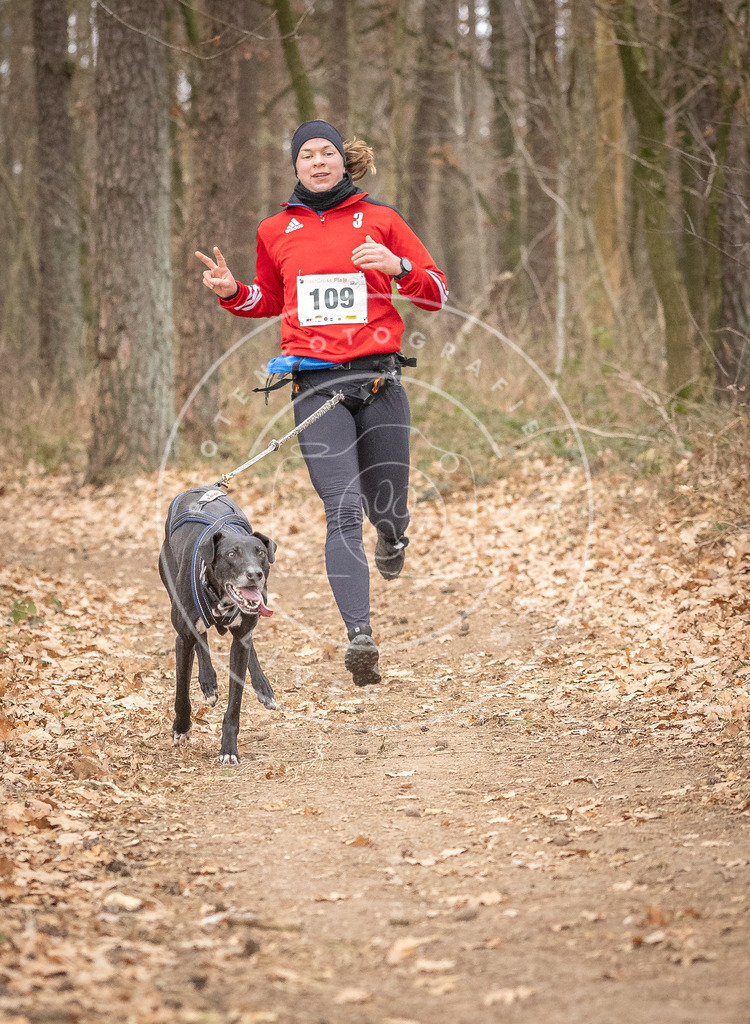 Pfotenfotografie_DV3A7659 | Hundefotografie, Tierfotograf, Pfotenfotografie, Fotoshooting Hund, Hunde Portrait, Hundesport, Hundeportraits, Heideshooting, Hunde, Sportfotograf, Hundefotograf, Turnierhundsport, THS,  - Realisiert mit Pictrs.com