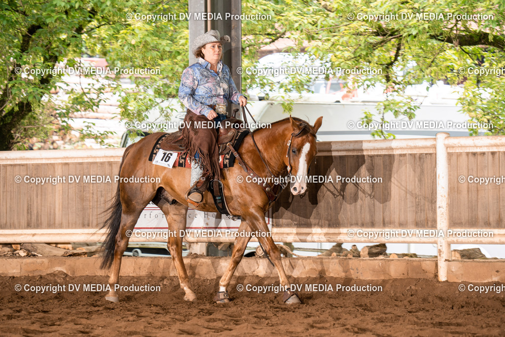 Erbach Tag 4-696 | dv-media-shop - Realisiert mit Pictrs.com