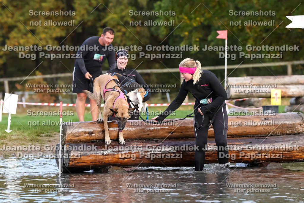 Dog Paparazzi - Strongdog 10-25-6978 | Dog Paparazzi Jeanette Grottendiek Fotografie & Videografie - Realisiert mit Pictrs.com