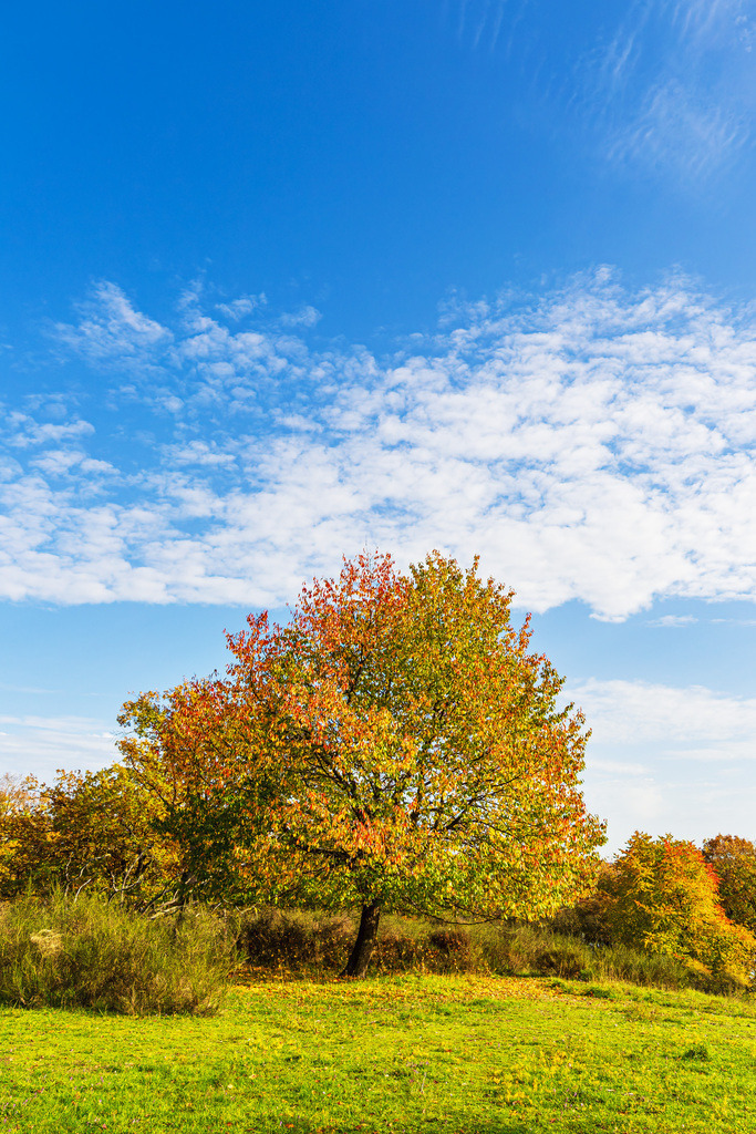 Landschaft im Herbst in der Feldberger Seenlandschaft | Landschaft im Herbst in der Feldberger Seenlandschaft.
