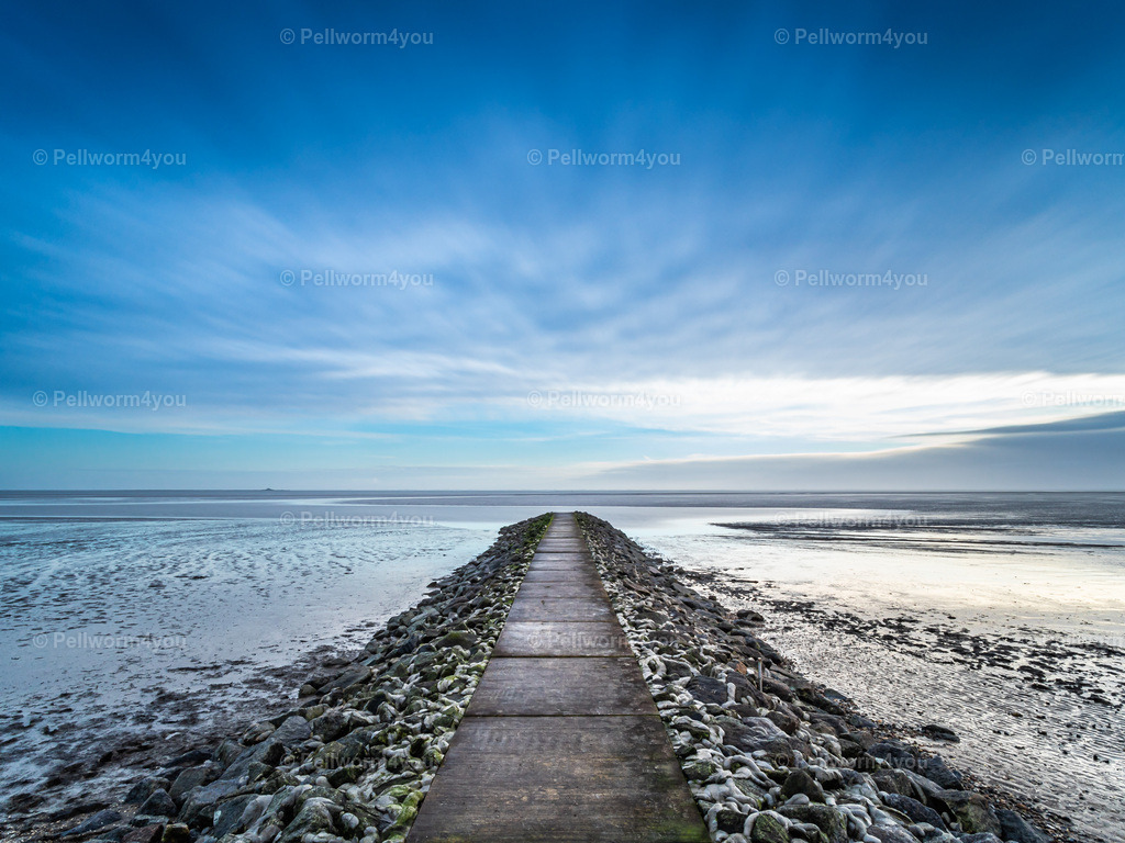 20181230_C300247_0071 | OLYMPUS DIGITAL CAMERA - Realisiert mit Pictrs.com